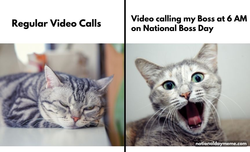 National Boss Day Meme 2024 