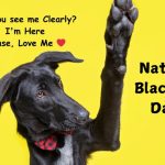 National Black Dog Day Meme 2025