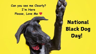 National Black Dog Day Meme 2024