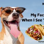 National Taco Day Meme 2024