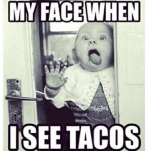 National Taco Day Memes Funny 2024