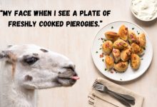 National Pierogi Day Meme 2024