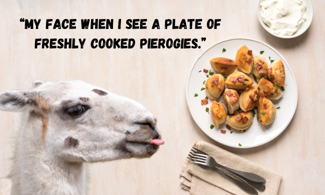 National Pierogi Day Meme 2024