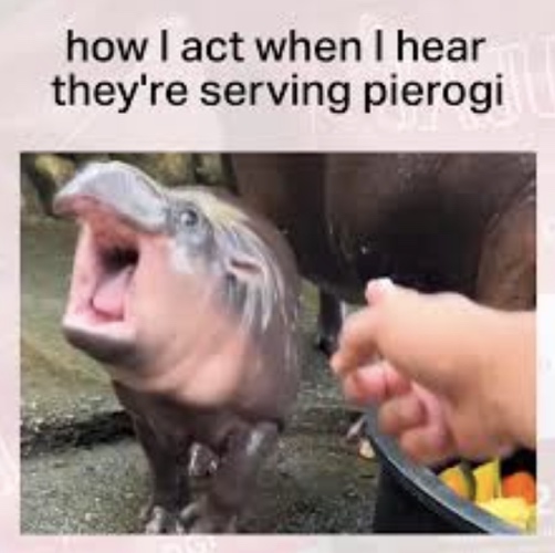 National Pierogi Day 2024 Memes Funny 