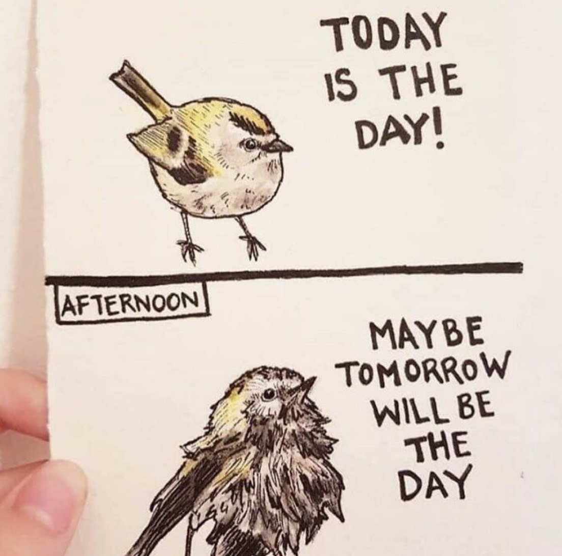 National Bird Day Funny Pic