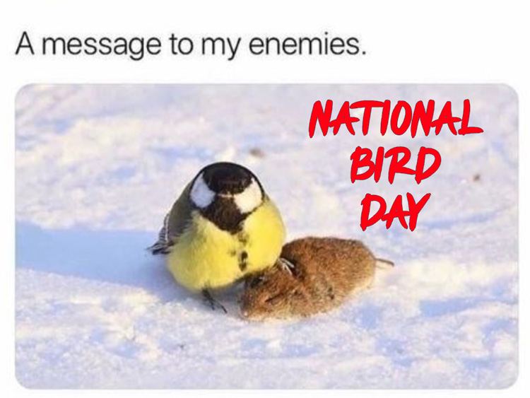 National Bird Day Meme 2025