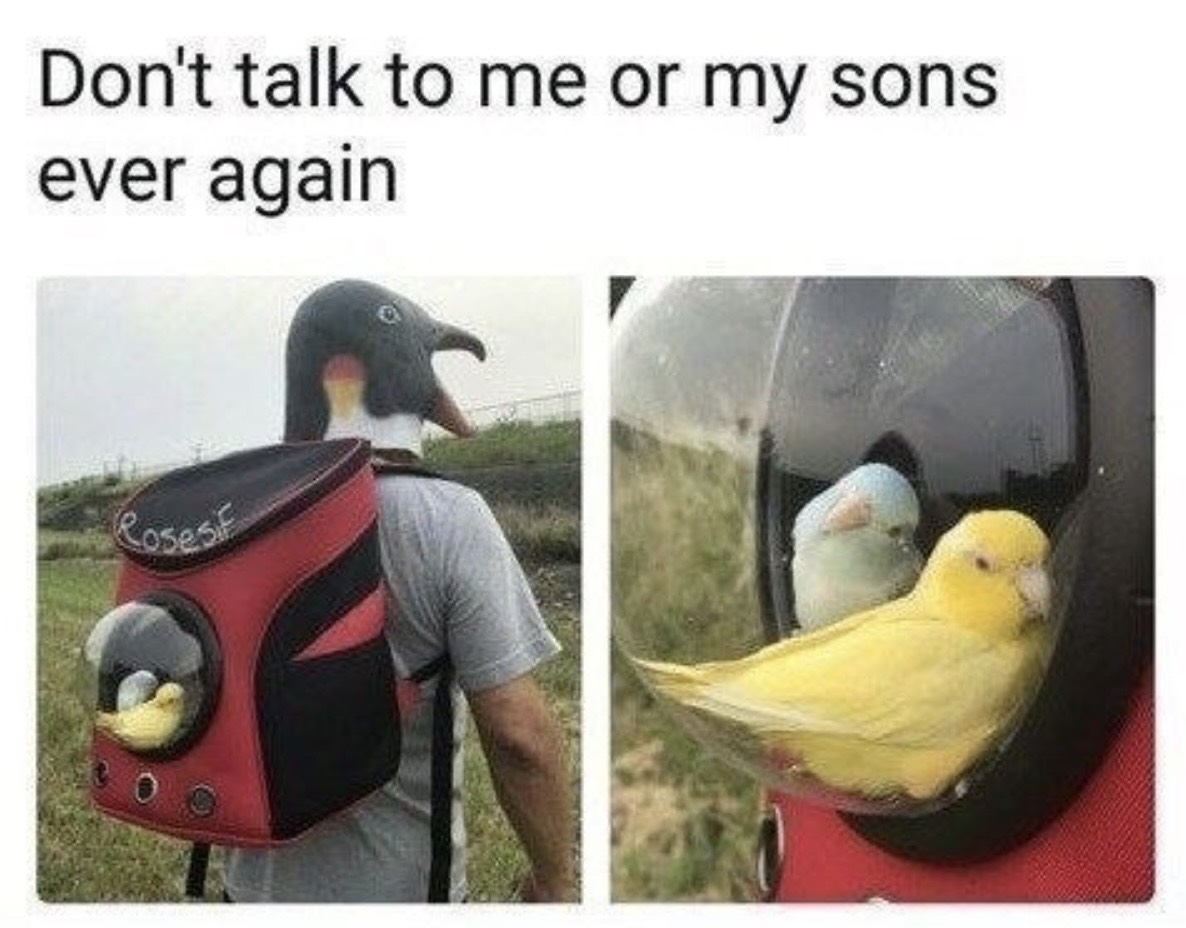 National Bird Day Memes 2025