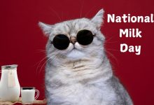 National Milk Day Memes Funny Images